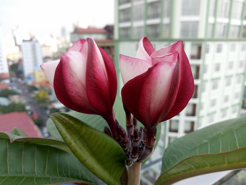 V Boutique Hotel Phnom Penh Ngoại thất bức ảnh